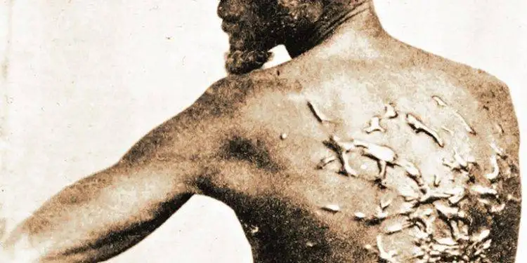 A glimpse into America’s wealth and slavery. A glimpse into America’s wealth and slavery.