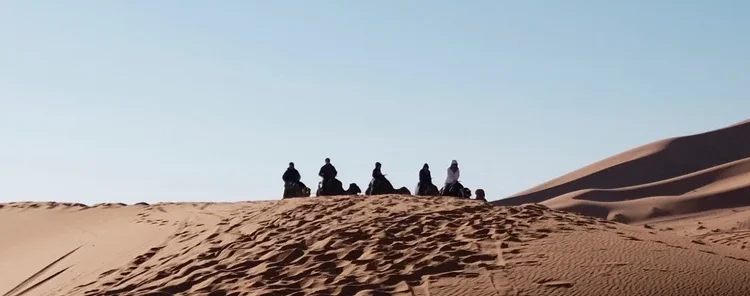 Desert Adaptation: Humanity’s Blueprint for Climate Resilience Desert Adaptation: Humanity’s Blueprint for Climate Resilience