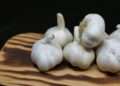 Unlocking the Impact of Secrets of Garlic on Heart Health Unlocking the Impact of Secrets of Garlic on Heart Health