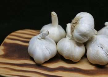 Unlocking the Impact of Secrets of Garlic on Heart Health Unlocking the Impact of Secrets of Garlic on Heart Health