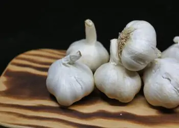 Unlocking the Impact of Secrets of Garlic on Heart Health Unlocking the Impact of Secrets of Garlic on Heart Health