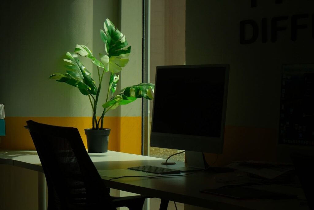 Minimal desk with a computer monitor, armchair and green plant
