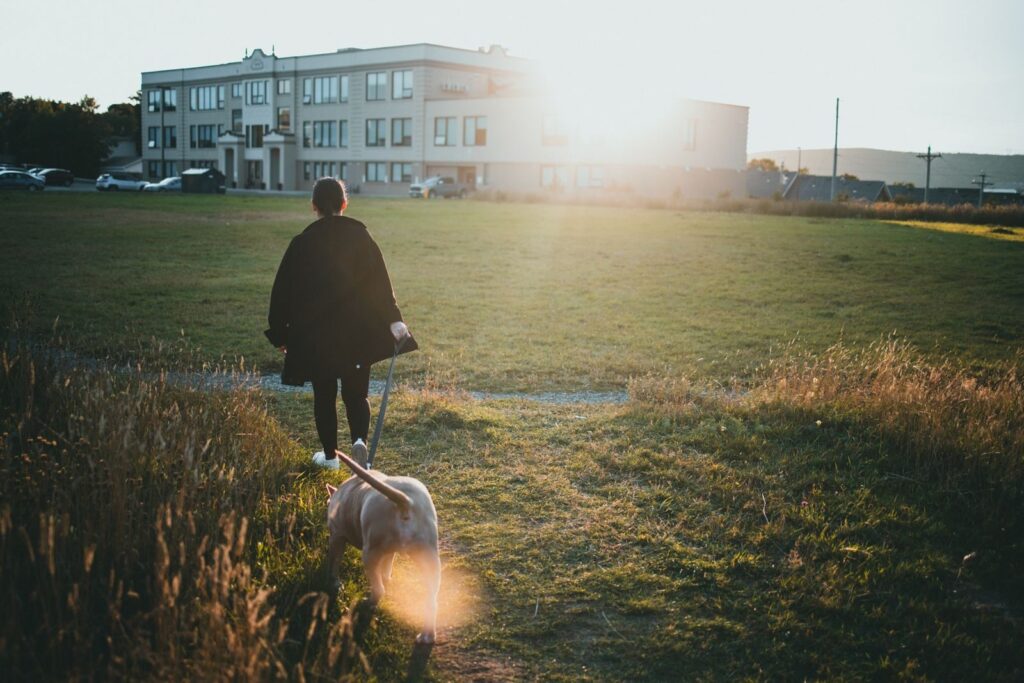 Person walking a dog in a sunlit park; a walk after eating can help blood sugar